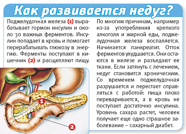 Диета при остром панкреатите и заболевании желудочной системы - секреты питания на  TemaKrasota.ru