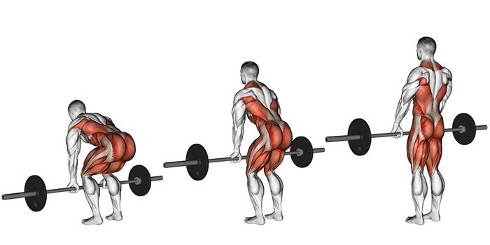 Техника выполнения становой тяги и работа мышц при выполнении упражнения