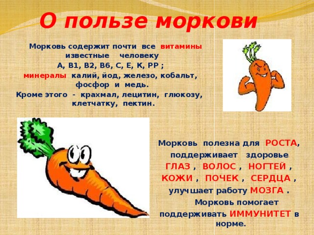 Калорийность моркови - всё о правильном питании для здоровья на temakrasota.ru