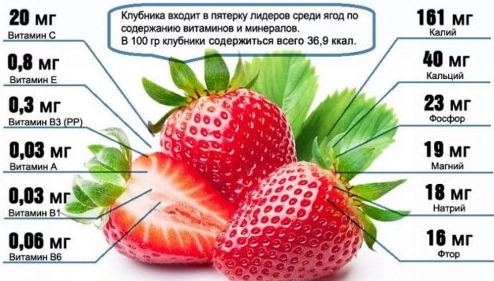Калорийность клубники - всё о правильном питании для здоровья на temakrasota.ru