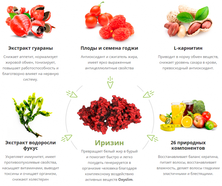 Oxyslim - всё о правильном питании для здоровья на temakrasota.ru