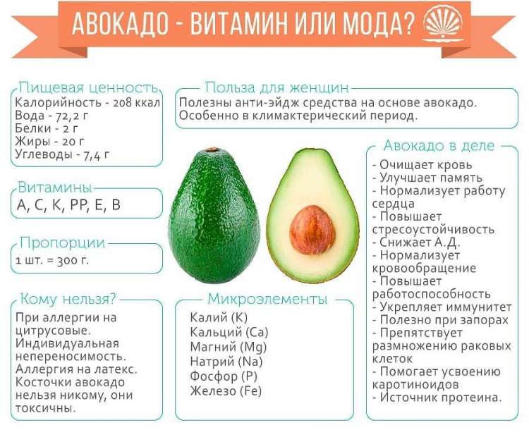 Калорийность авокадо - всё о правильном питании для здоровья на temakrasota.ru