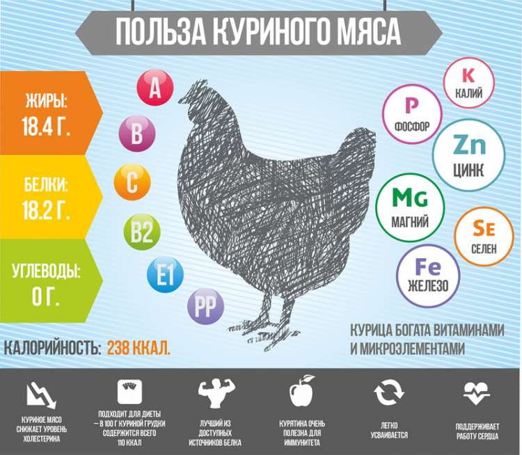 Рецепты правильного питания - всё о правильном питании для здоровья на temakrasota.ru