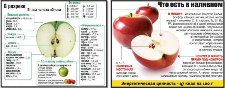 Калорийность фруктов - всё о правильном питании для здоровья на temakrasota.ru