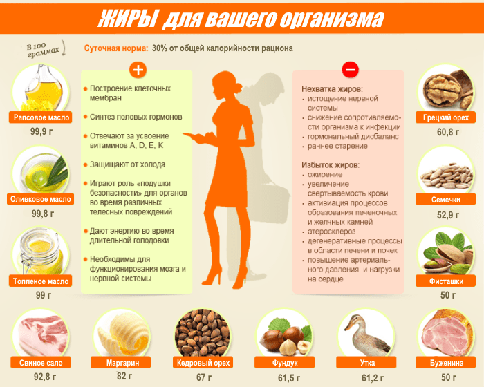 Липиды это что такое - всё о правильном питании для здоровья на temakrasota.ru