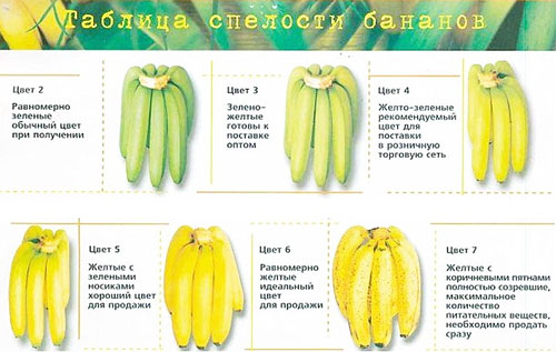 Сколько калорий в банане - всё о правильном питании для здоровья на temakrasota.ru