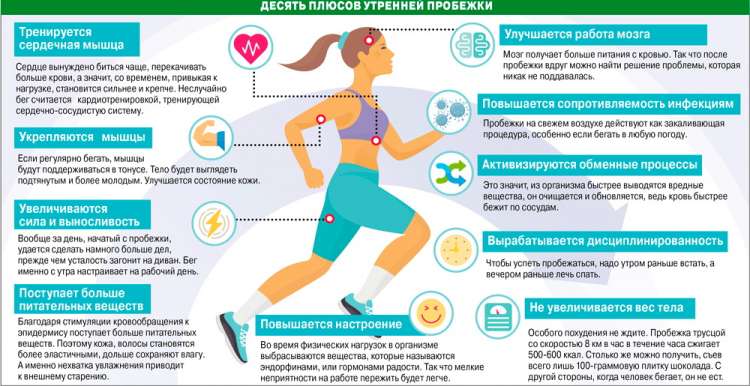 Сколько калорий сжигается при беге - всё о правильном питании для здоровья на temakrasota.ru