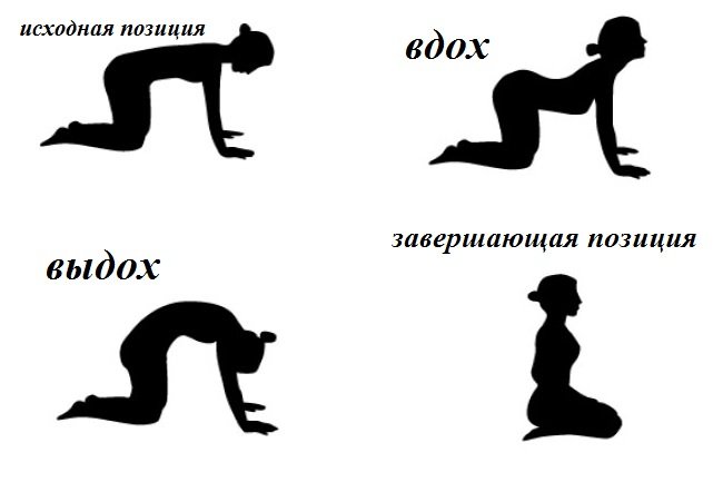 Йога для начинающих - всё о правильном питании для здоровья на temakrasota.ru