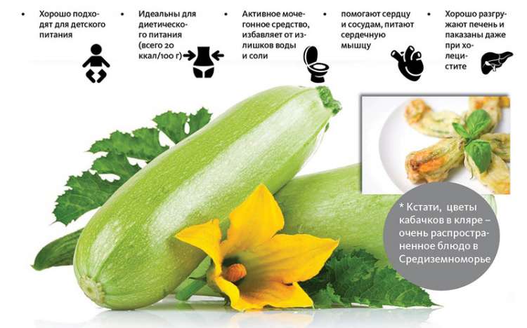 Диетические оладьи из кабачков - всё о правильном питании для здоровья на temakrasota.ru