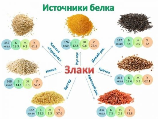 Продукты богатые белком - всё о правильном питании для здоровья на temakrasota.ru