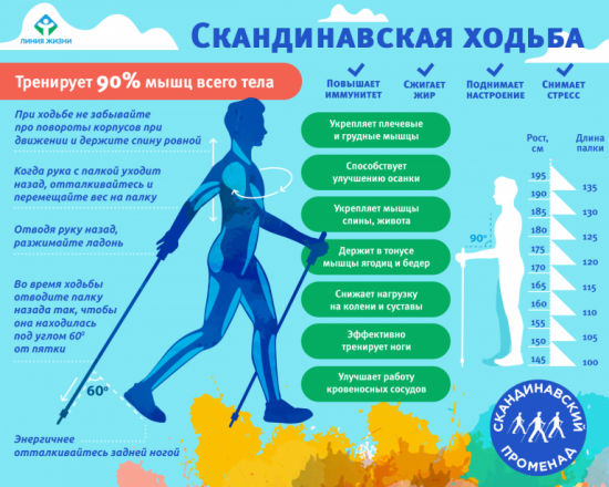 Скандинавская ходьба - всё о правильном питании для здоровья на temakrasota.ru