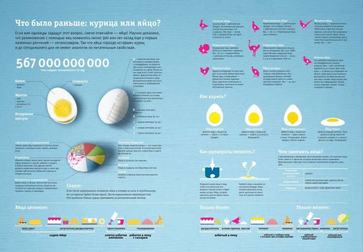 Сколько калорий в яйце - всё о правильном питании для здоровья на temakrasota.ru