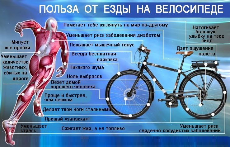Сколько калорий сжигается при езде на велосипеде - всё о правильном питании для здоровья на temakrasota.ru