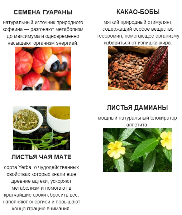 Skinny Stix - всё о правильном питании для здоровья на temakrasota.ru