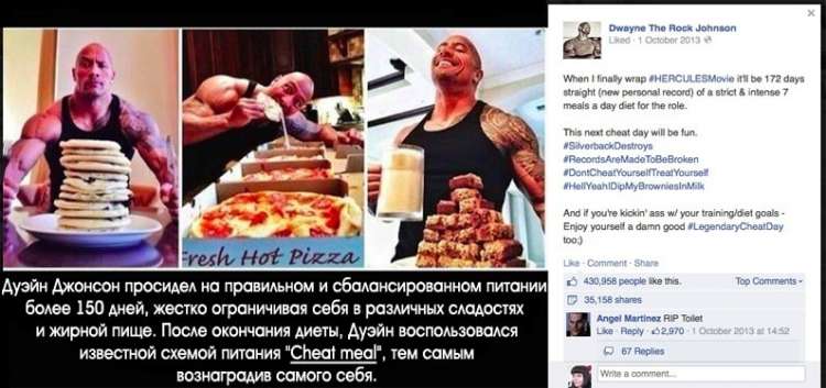 Читмил, что это такое - всё о правильном питании для здоровья на temakrasota.ru