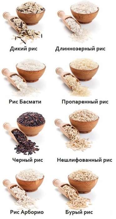 Калорийность риса - всё о правильном питании для здоровья на temakrasota.ru