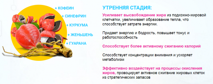 Dietonus - всё о правильном питании для здоровья на temakrasota.ru