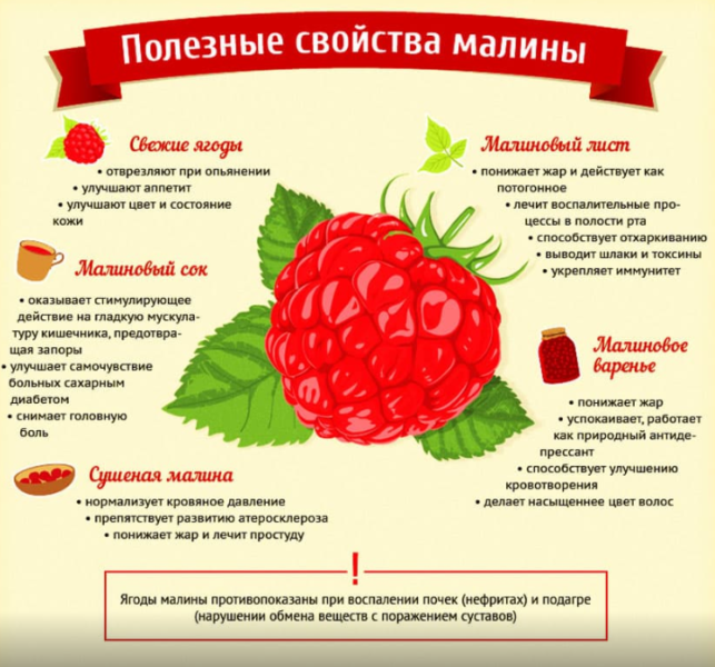 Калорийность малины - всё о правильном питании для здоровья на temakrasota.ru
