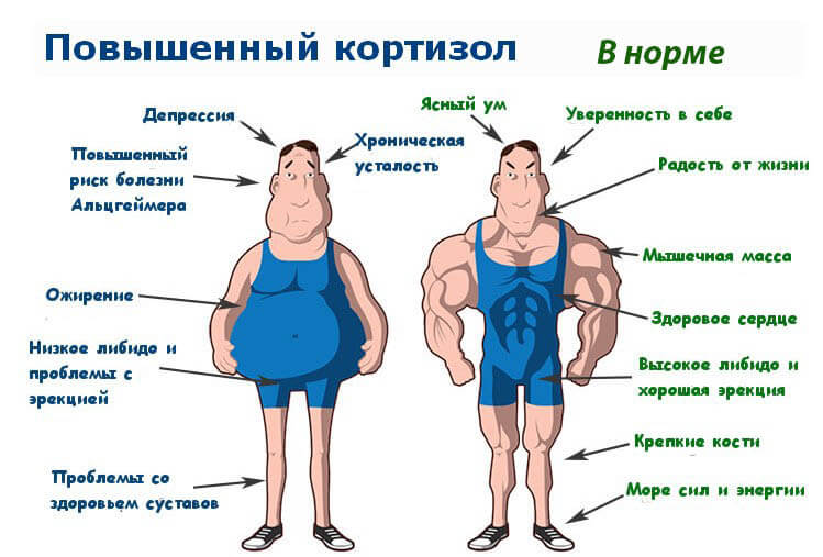 Почему вес стоит на месте при похудении - всё о правильном питании для здоровья на temakrasota.ru