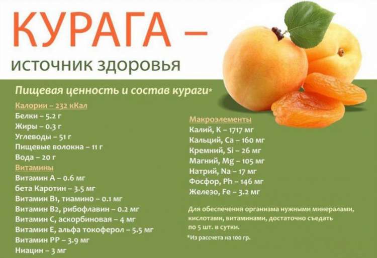 Курага калорийность - всё о правильном питании для здоровья на temakrasota.ru