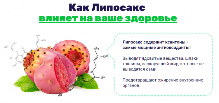 Липосакс - всё о правильном питании для здоровья на temakrasota.ru