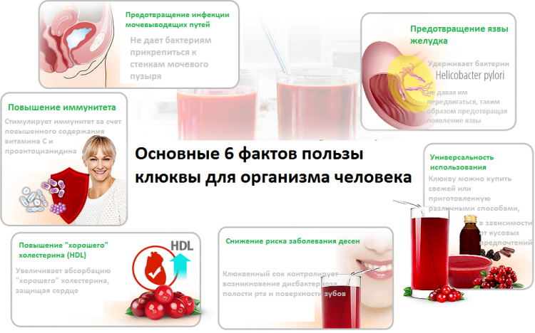 Рецепты правильного питания - всё о правильном питании для здоровья на temakrasota.ru