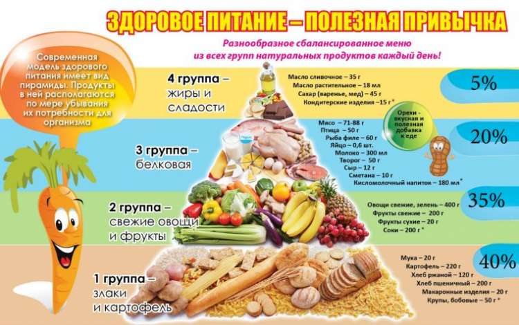 Здоровый образ жизни - всё о правильном питании для здоровья на temakrasota.ru