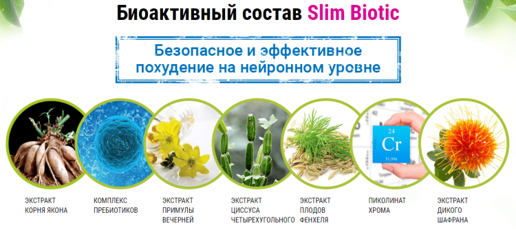 SlimBiotic - всё о правильном питании для здоровья на temakrasota.ru
