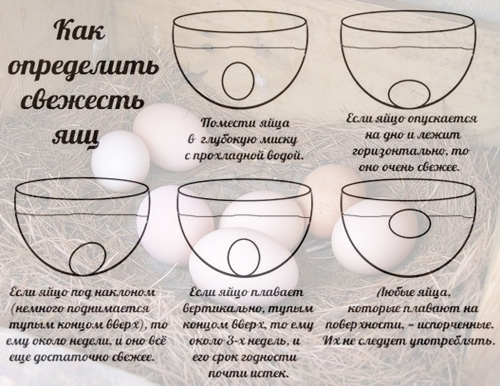 Сколько калорий в яйце - всё о правильном питании для здоровья на temakrasota.ru