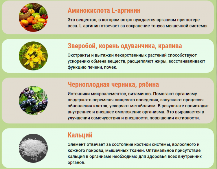 Липосакс - всё о правильном питании для здоровья на temakrasota.ru