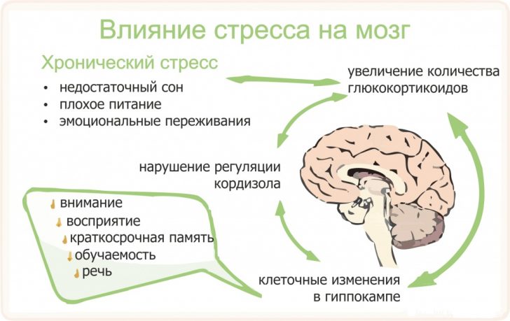 Стресс - всё о правильном питании для здоровья на temakrasota.ru