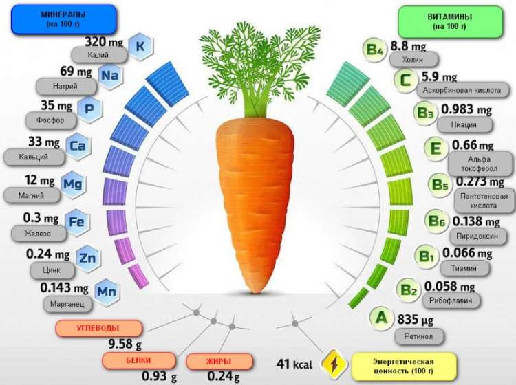 Калорийность моркови - всё о правильном питании для здоровья на temakrasota.ru