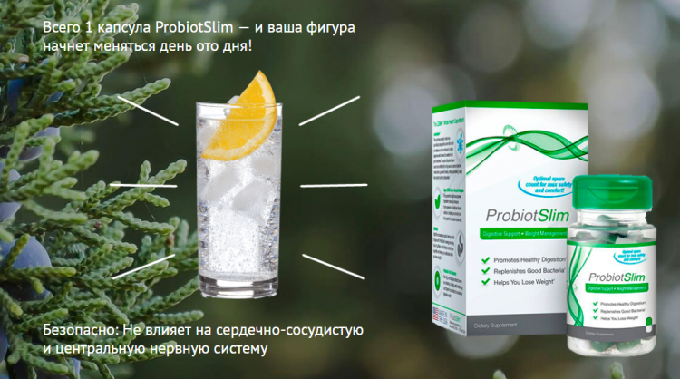 ProbiotSlim - всё о правильном питании для здоровья на temakrasota.ru