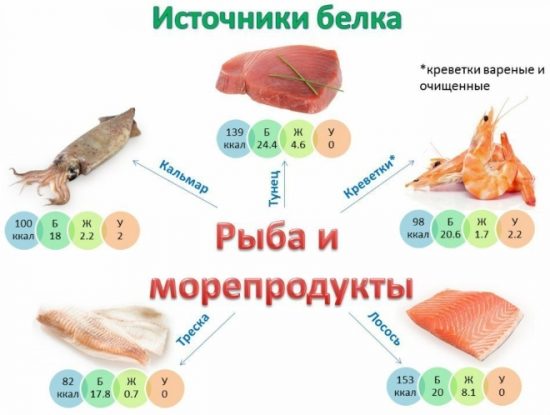 Продукты богатые белком - всё о правильном питании для здоровья на temakrasota.ru