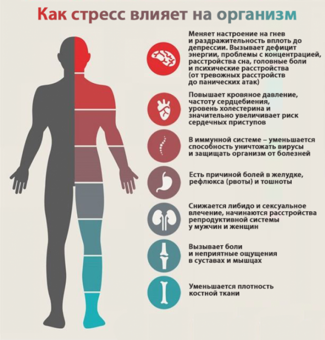 Стресс - всё о правильном питании для здоровья на temakrasota.ru