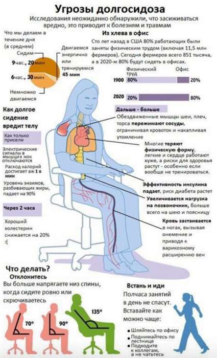 Малоподвижный образ жизни - всё о правильном питании для здоровья на temakrasota.ru