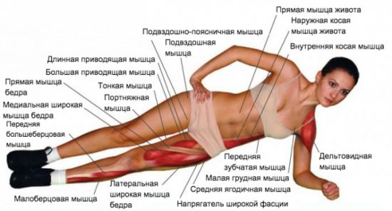Планка для похудения - всё о правильном питании для здоровья на temakrasota.ru