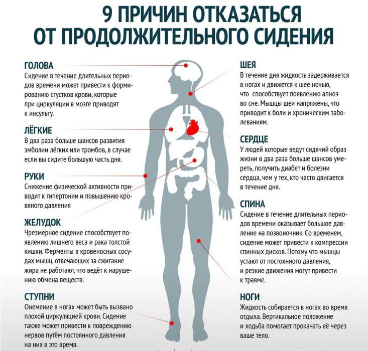 Малоподвижный образ жизни - всё о правильном питании для здоровья на temakrasota.ru