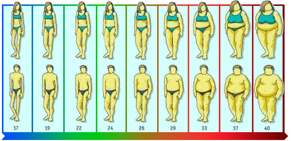 Индекс массы тела (ИМТ) - всё о правильном питании для здоровья на temakrasota.ru