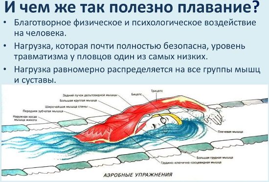 Плавание для похудения - всё о правильном питании для здоровья на temakrasota.ru
