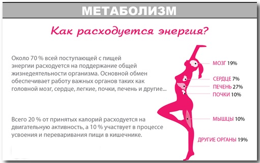 Расчет калорий для похудения - всё о правильном питании для здоровья на temakrasota.ru
