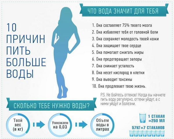 Диета для ленивых — минус 12 кг за 2 недели: отзывы - всё о правильном питании для здоровья на temakrasota.ru