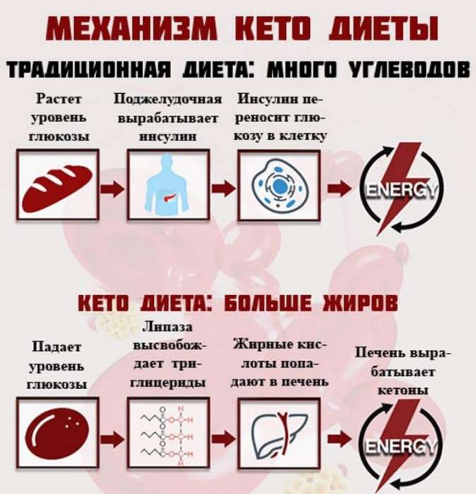 Кето диета для похудения - всё о правильном питании для здоровья на temakrasota.ru